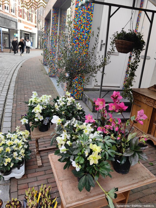 Музыкальная История 89 — Туризм и путешествия: фотоотчеты из поездок