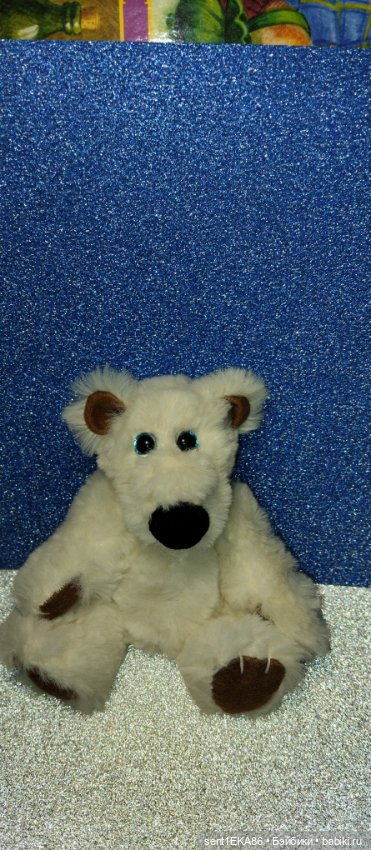 Белый медвежонок - голубые глазки (фото 3)