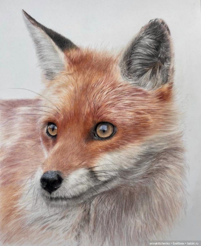 Гиперреалистичные портреты животных от Bonny Snowdon