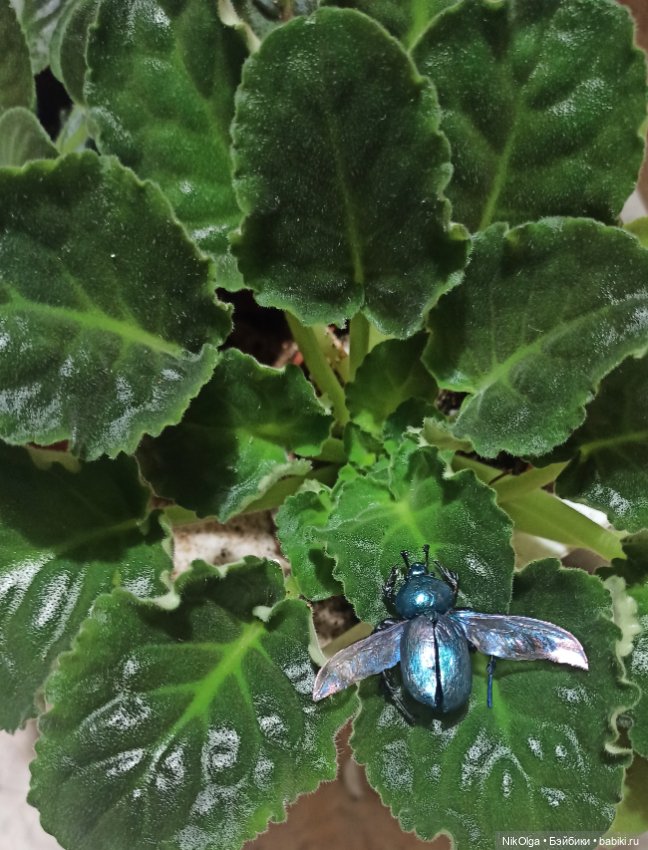 Творческие мечталки — Лепка авторских игрушек и папье (фото 7)