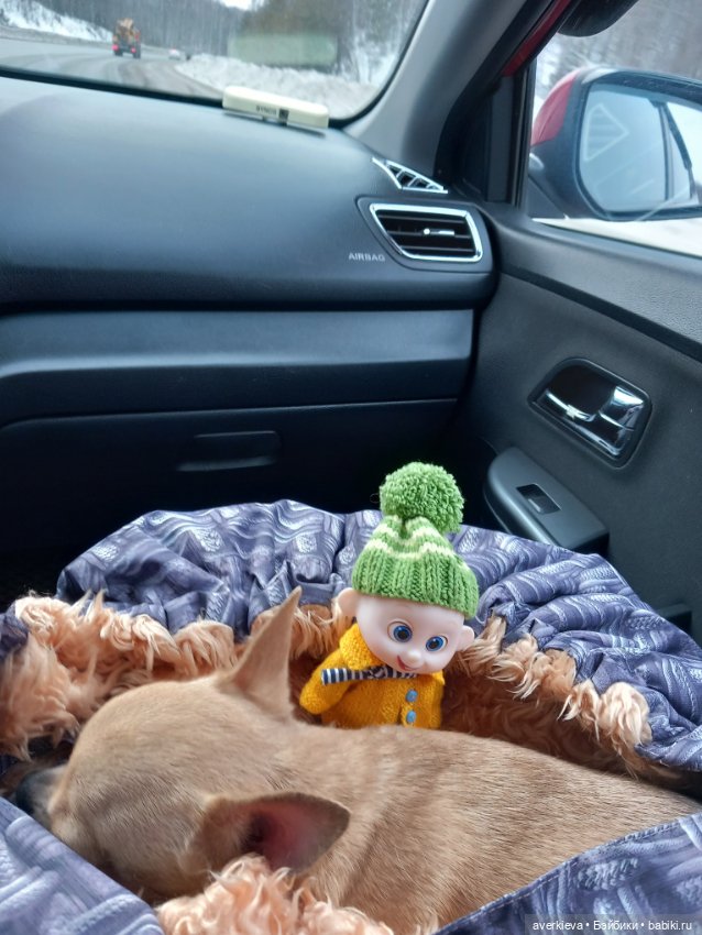 Просто субботний день — Игровые куклы разных производителей (Разное): редкие бренды (фото 6)