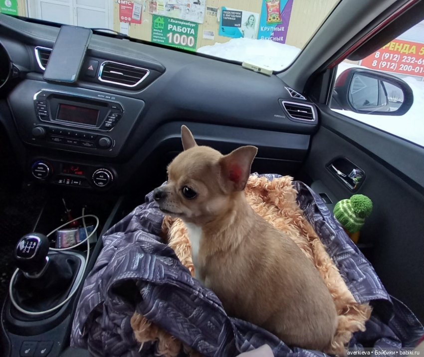 Просто субботний день — Игровые куклы разных производителей (Разное): редкие бренды (фото 5)