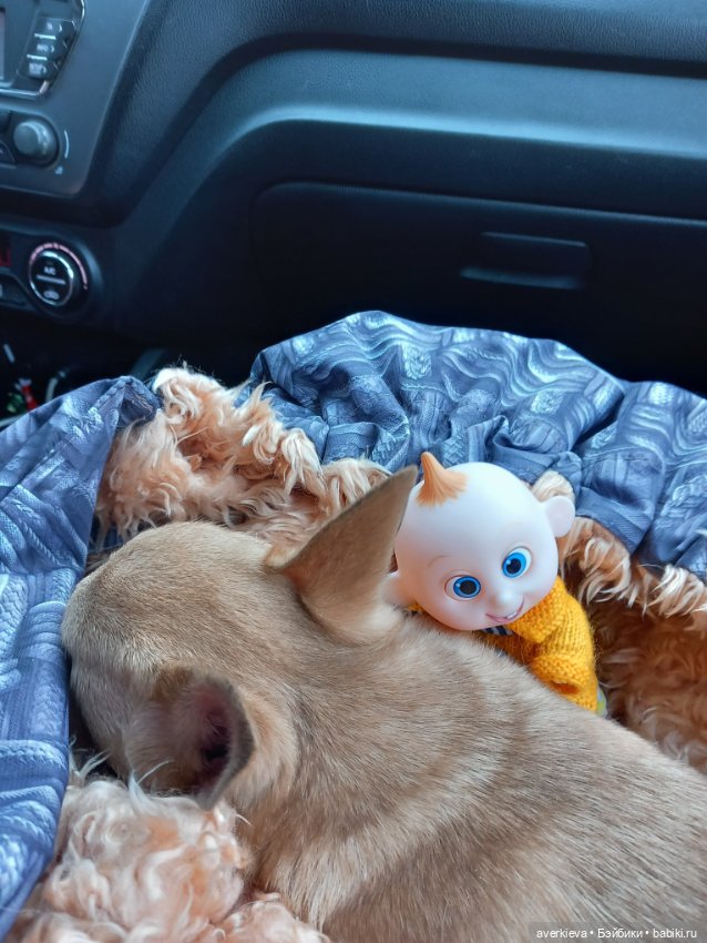 Просто субботний день — Игровые куклы разных производителей (Разное): редкие бренды (фото 7)