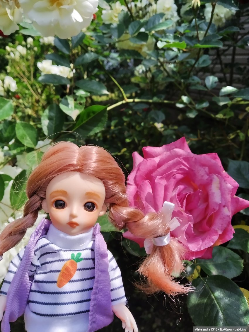 Мой 100 топик — Домашние коллекции кукол: фото собраний