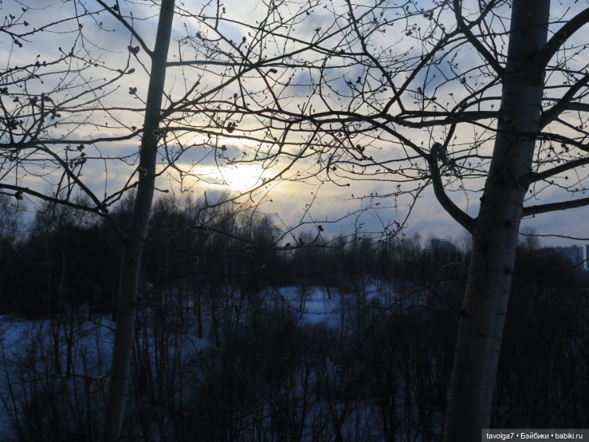 Необычная Lollipop Girls — Куклы Jan McLean (Жан Маклин): Lollipop Girls