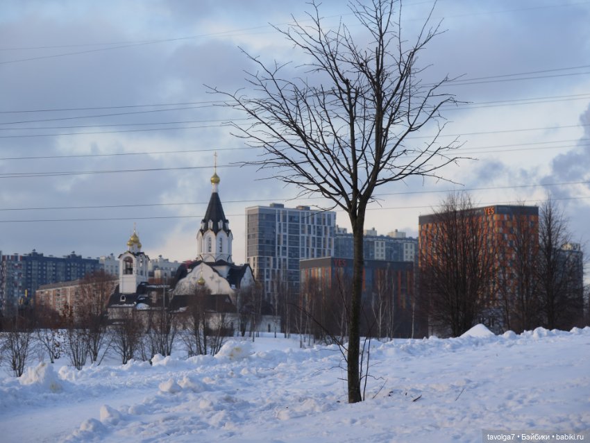 Необычная Lollipop Girls — Куклы Jan McLean (Жан Маклин): Lollipop Girls