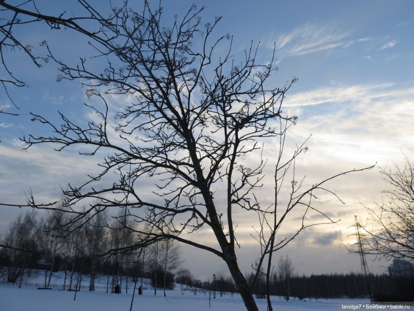 Необычная Lollipop Girls — Куклы Jan McLean (Жан Маклин): Lollipop Girls