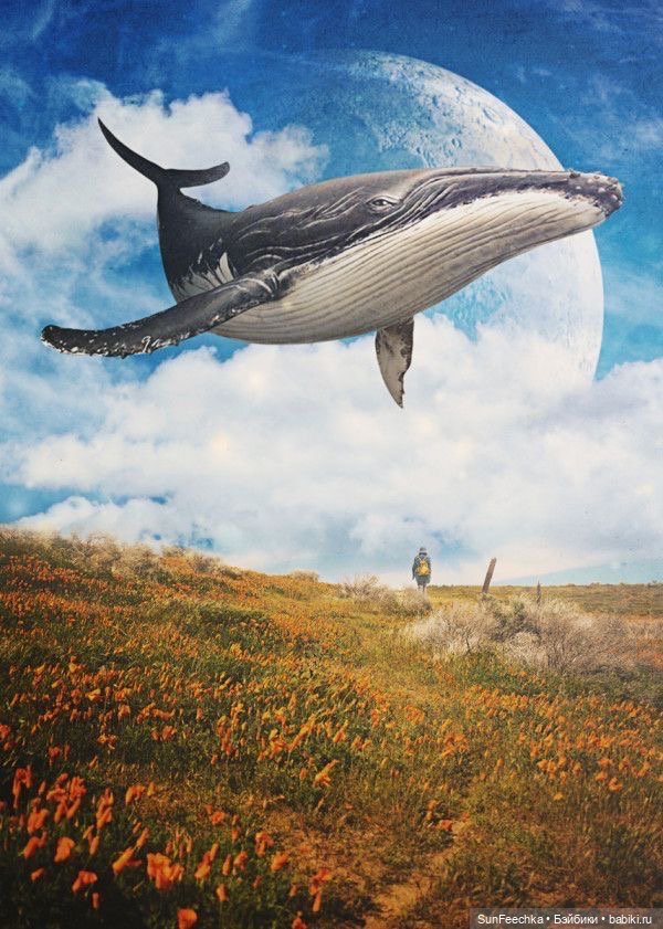 Киты в искусстве — Живопись и графика: творчество художников