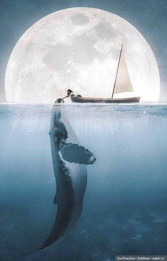 Киты в искусстве — Живопись и графика: творчество художников (фото 4)
