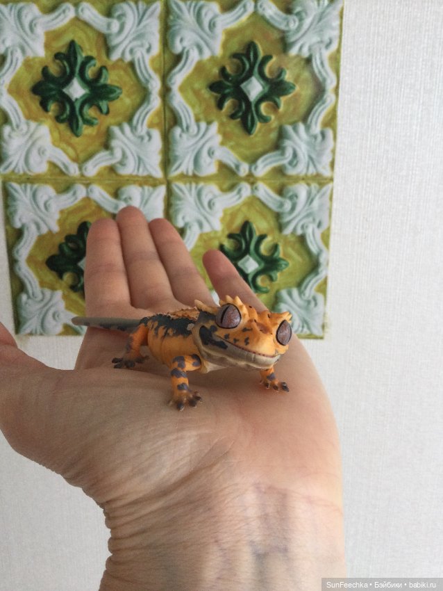 Генри 🦎 он же Гога, он же Жора, он же Гоша (фото 8)