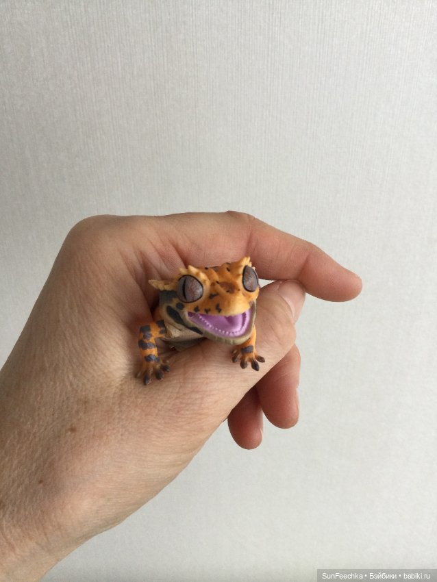 Генри 🦎 он же Гога, он же Жора, он же Гоша (фото 7)