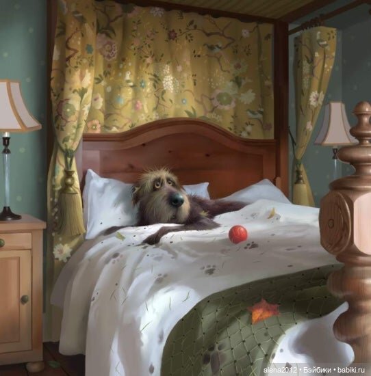 Stephen Hansen тепло и мило о собачей жизни