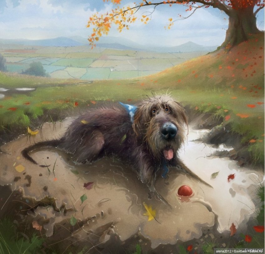 Stephen Hansen тепло и мило о собачей жизни