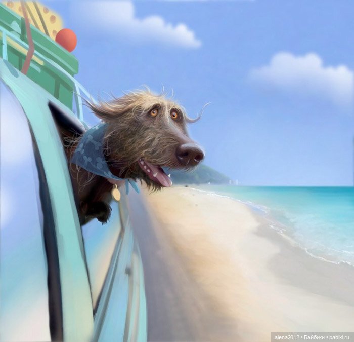 Stephen Hansen тепло и мило о собачей жизни (фото 2)