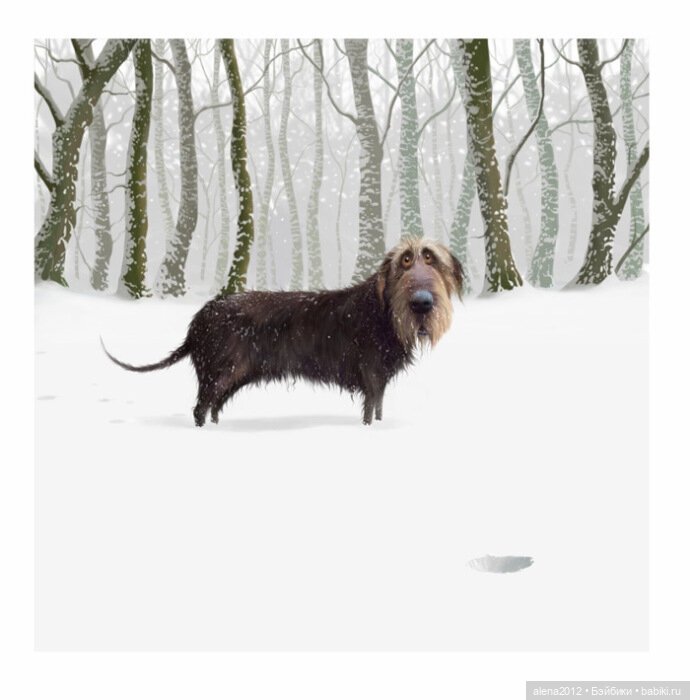 Stephen Hansen тепло и мило о собачей жизни (фото 4)