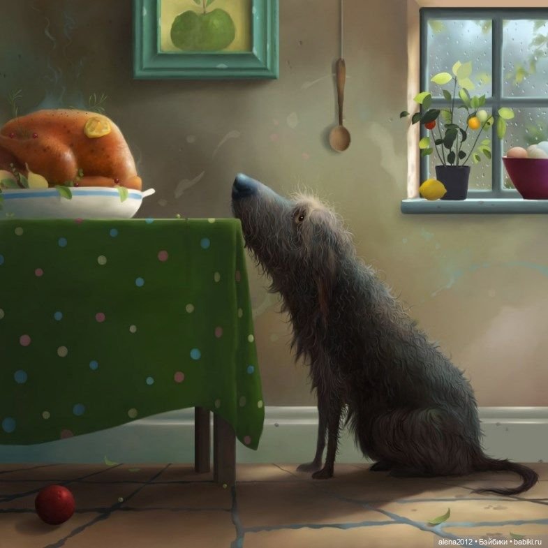 Stephen Hansen тепло и мило о собачей жизни