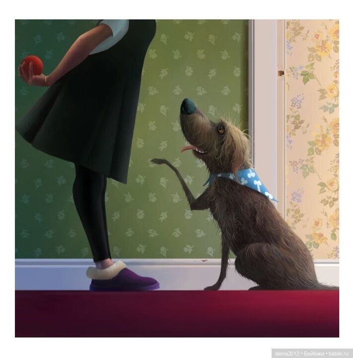 Stephen Hansen тепло и мило о собачей жизни (фото 7)