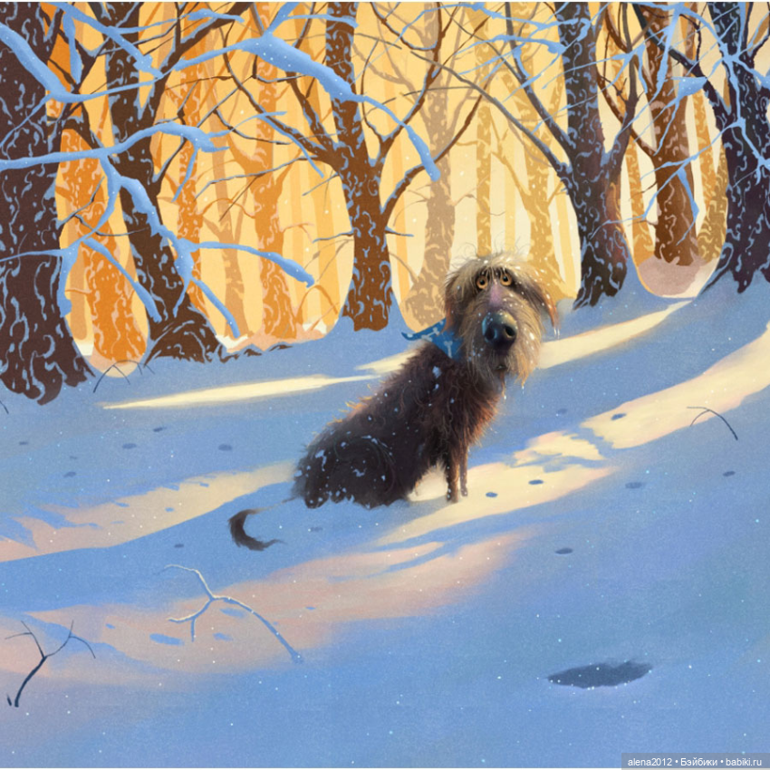 Stephen Hansen тепло и мило о собачей жизни