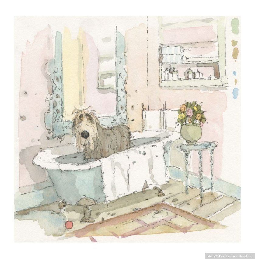 Stephen Hansen тепло и мило о собачей жизни