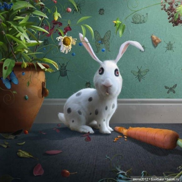 Stephen Hansen тепло и мило о собачей жизни