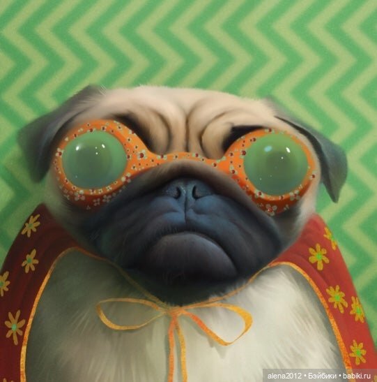 Stephen Hansen тепло и мило о собачей жизни