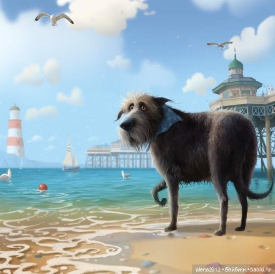 Stephen Hansen тепло и мило о собачей жизни