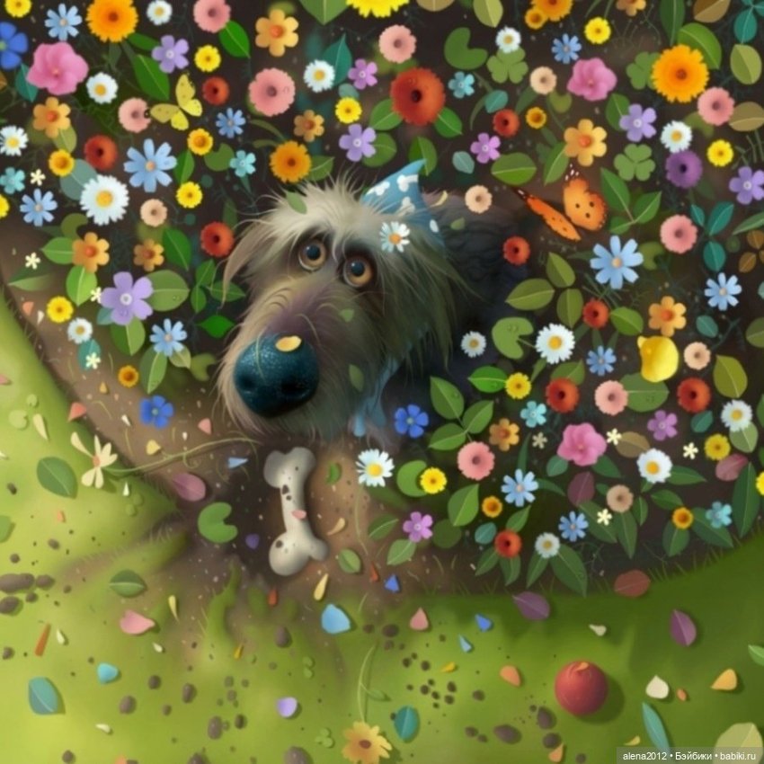 Stephen Hansen тепло и мило о собачей жизни