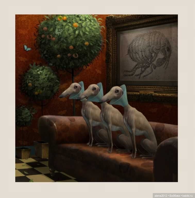 Stephen Hansen тепло и мило о собачей жизни