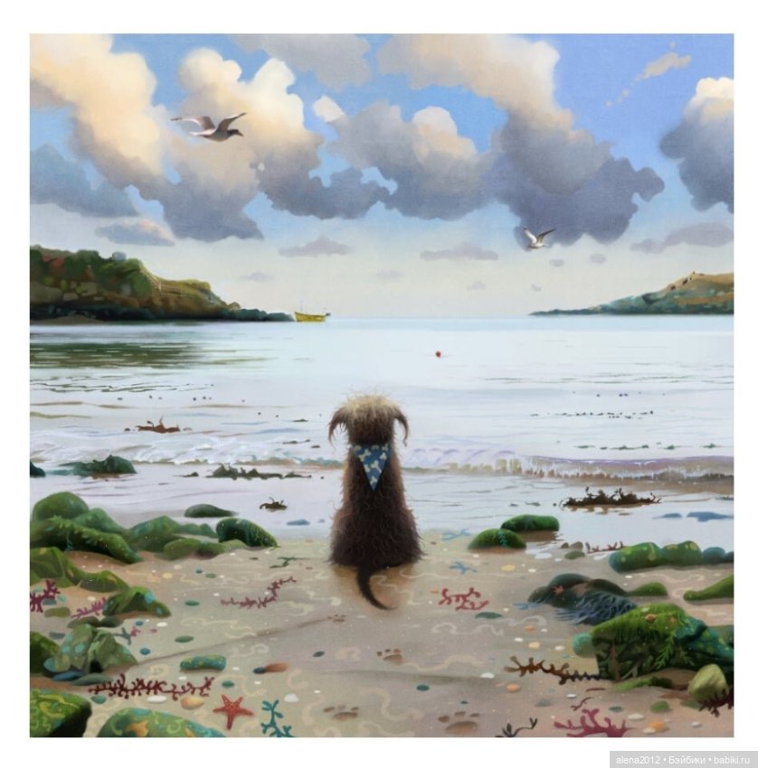 Stephen Hansen тепло и мило о собачей жизни