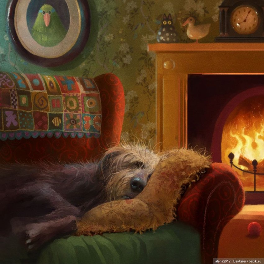 Stephen Hansen тепло и мило о собачей жизни