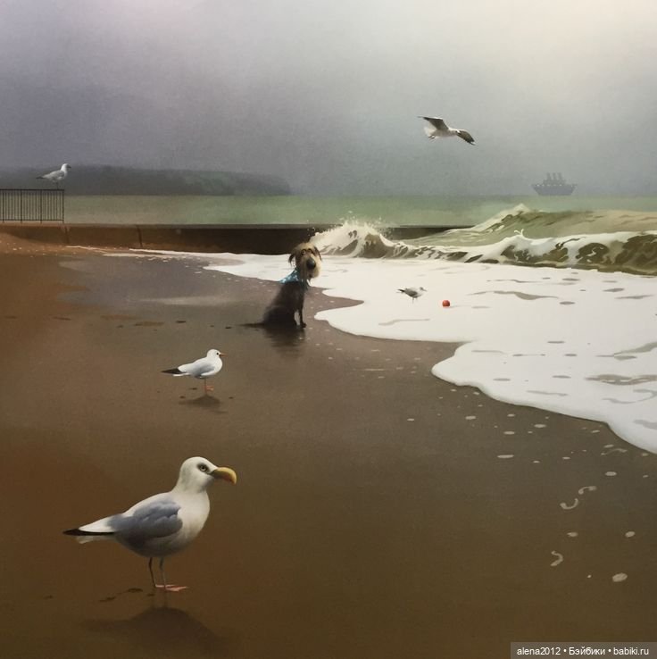 Stephen Hansen тепло и мило о собачей жизни