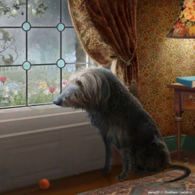 Stephen Hansen тепло и мило о собачей жизни (фото 3)