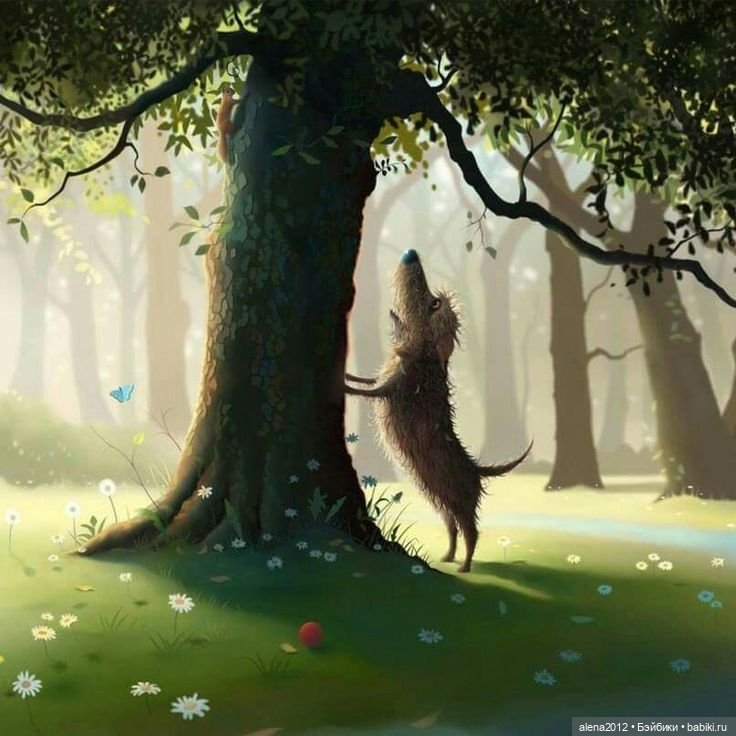 Stephen Hansen тепло и мило о собачей жизни