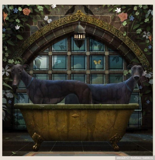 Stephen Hansen тепло и мило о собачей жизни