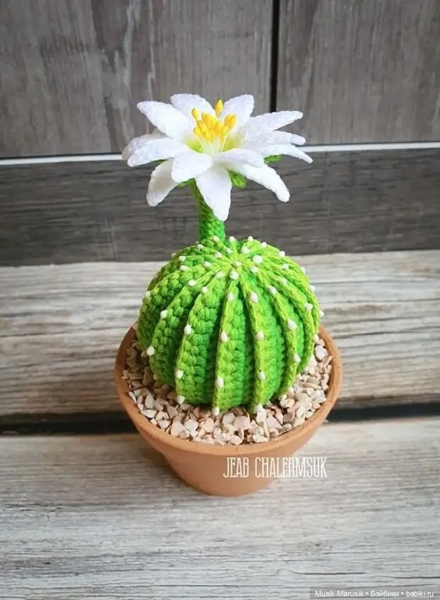 Необычное вязание крючком! Цветы и крючок - что общего (фото 10)