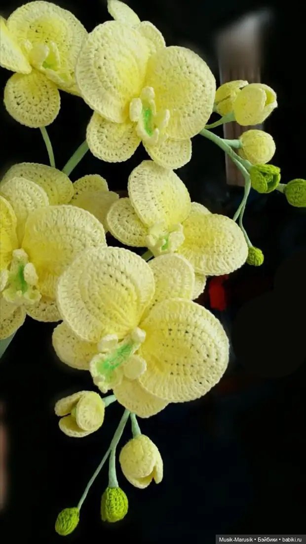 Необычное вязание крючком! Цветы и крючок - что общего