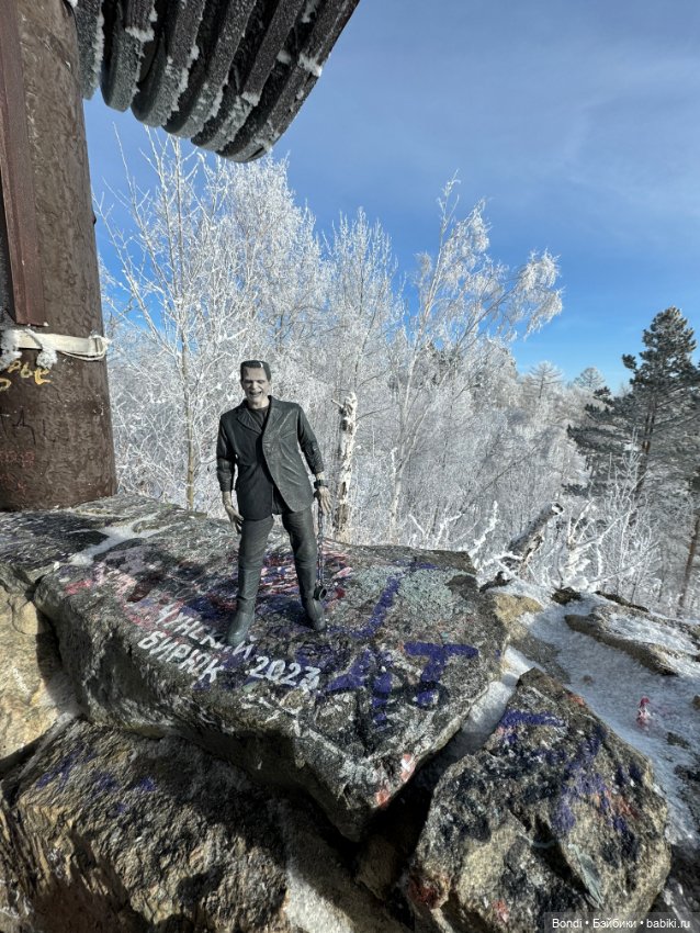 Франкенштейн на озере Байкал (фото 9)