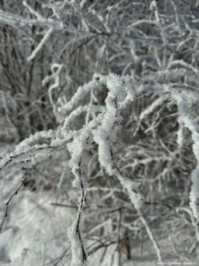 Франкенштейн на озере Байкал (фото 7)