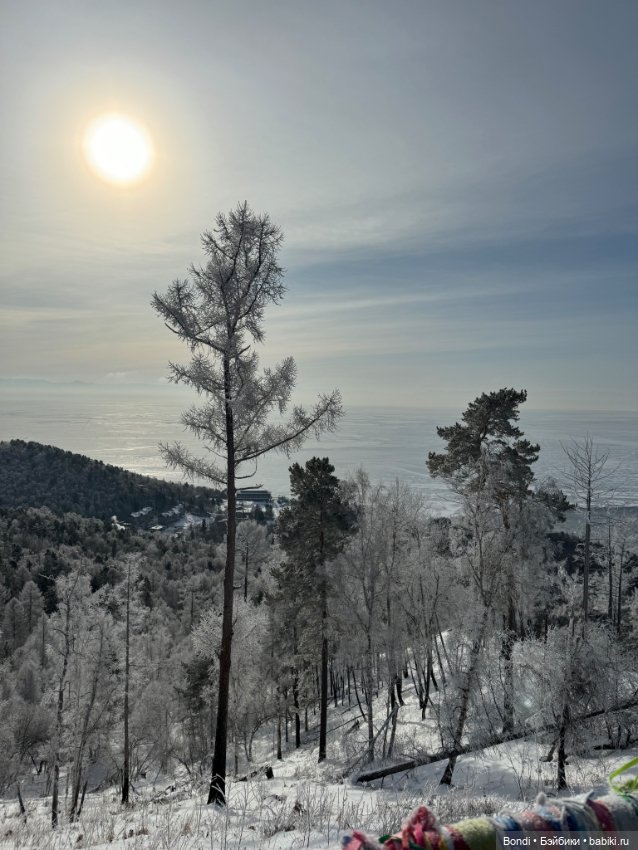 Франкенштейн на озере Байкал