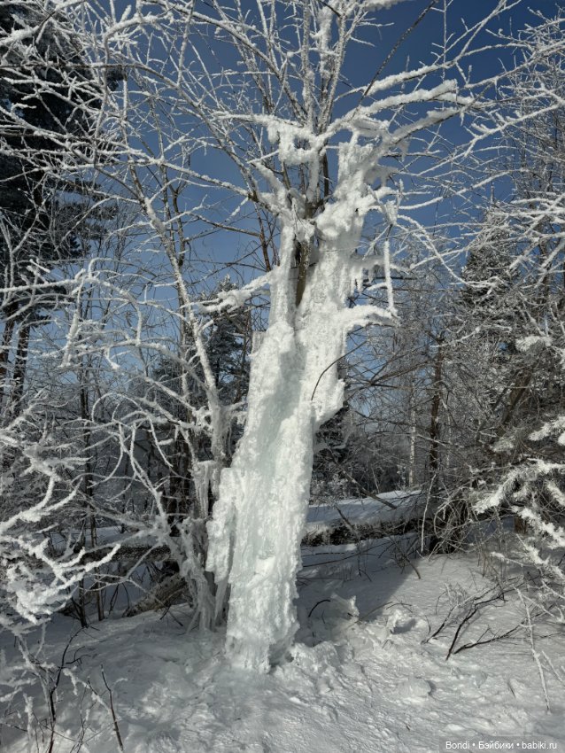 Франкенштейн на озере Байкал (фото 6)