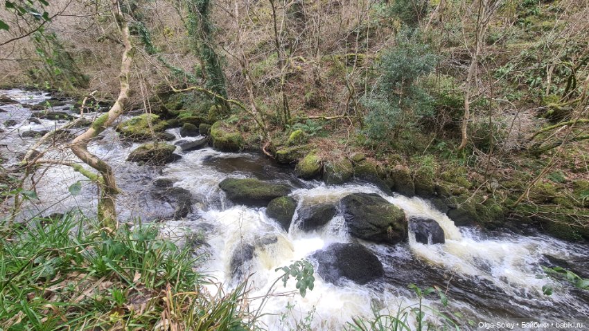 Замечательный день для бродилок (фото 10)