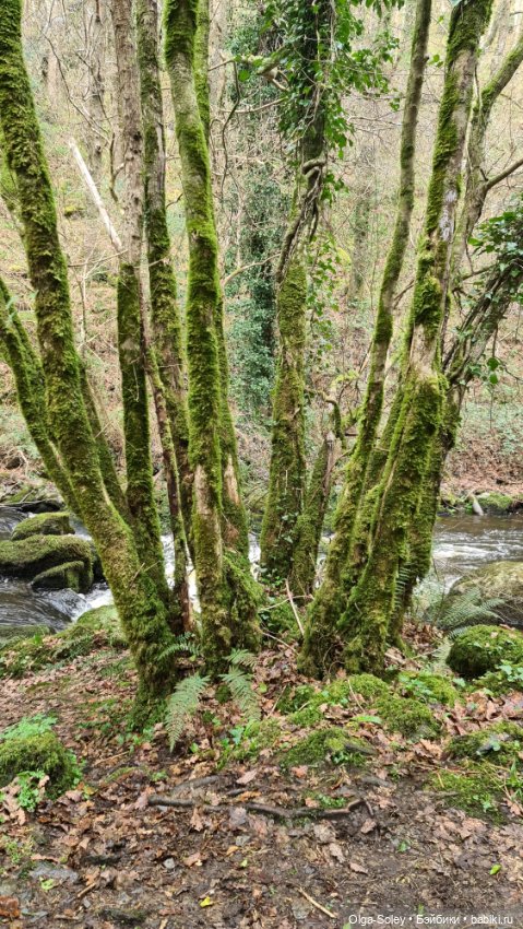 Замечательный день для бродилок