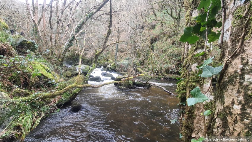 Замечательный день для бродилок (фото 9)