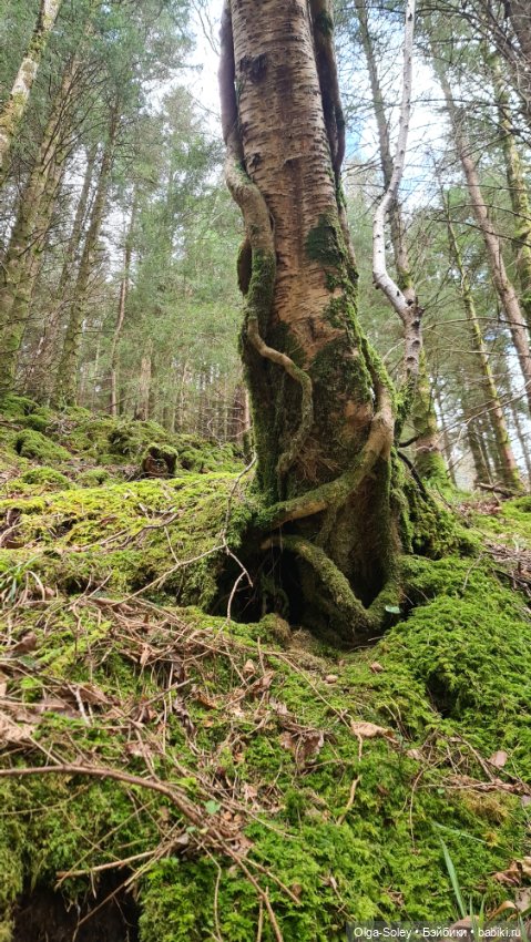 Замечательный день для бродилок (фото 2)