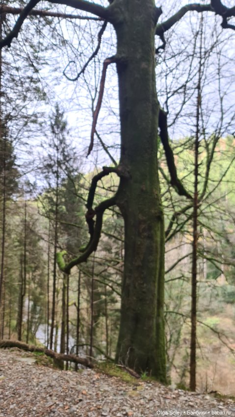 Замечательный день для бродилок (фото 7)