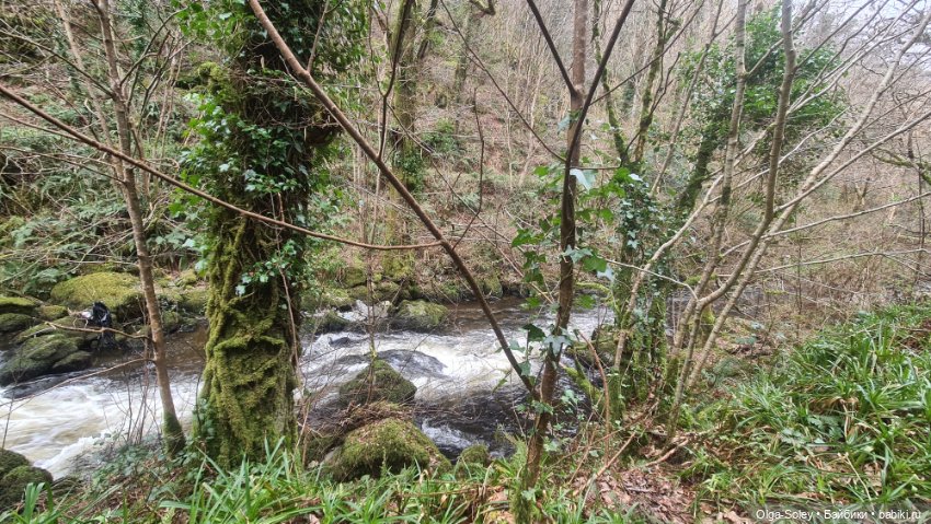 Замечательный день для бродилок