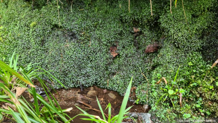 Замечательный день для бродилок