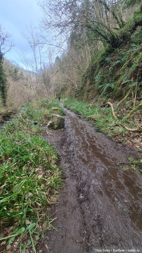 Замечательный день для бродилок