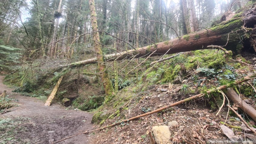 Замечательный день для бродилок (фото 8)