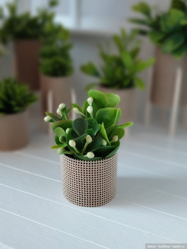 Дуновение весны? однозначно